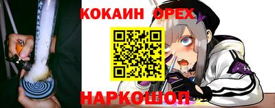 гидра Донской