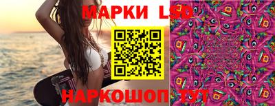 гидра Донской