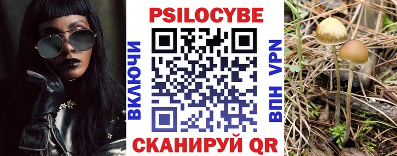 Галлюциногенные грибы мицелий  Арзамас 