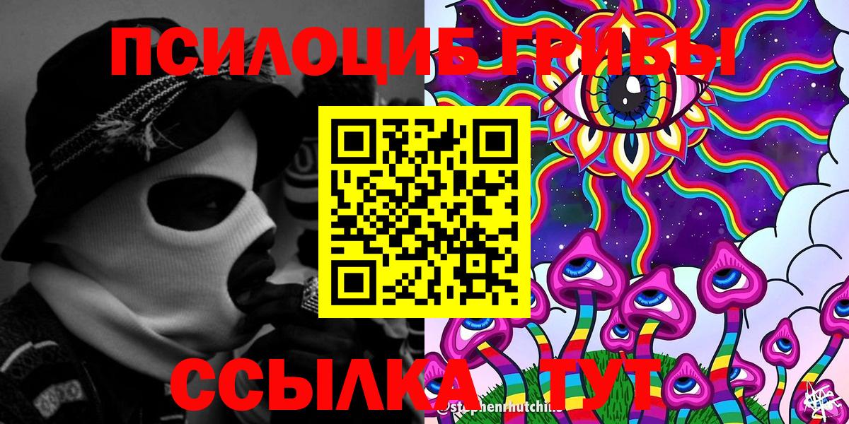 Псилоцибиновые грибы Psilocybe Арзамас