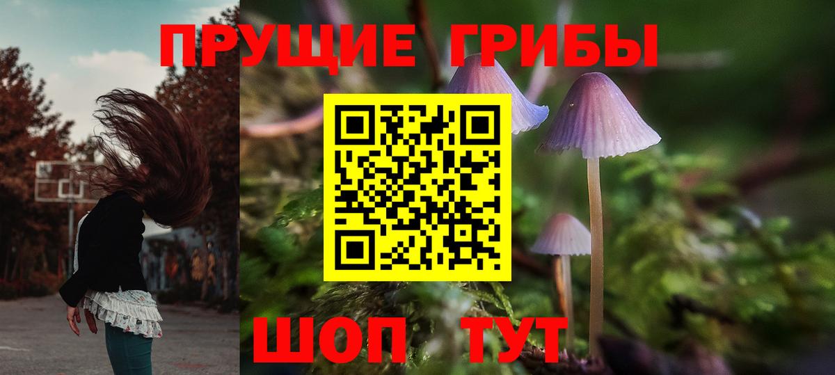 Псилоцибиновые грибы Psilocybine cubensis  Вход с VPN  Арзамас 
